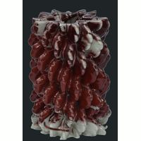 Ceramic: DSC_0317.JPG