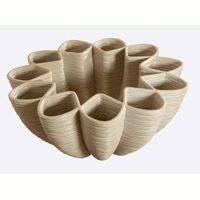 Ceramic: PENF8069.JPG